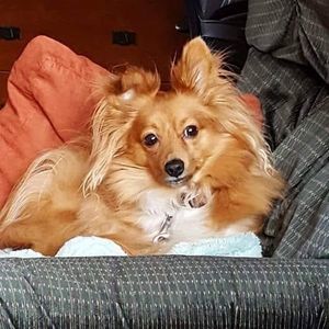 Meet your Posher, Tracy